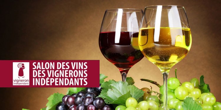 43rd winefair of the Vignerons Indépendants in Paris - Vignerons-independants-Paris.jpeg - Domaine des Chênes