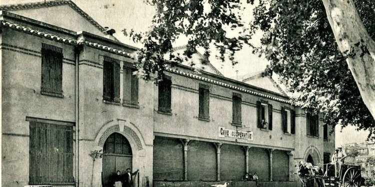 1974, ma première vinification. - Domaine des Chênes