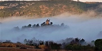 Éloge de l’enracinement : une vie entre Occitanie et Catalogne. - Domaine des Chênes