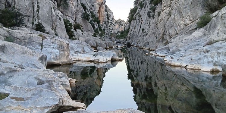 Éloge de l’enracinement : une vie entre Occitanie et Catalogne. - 20241225_165601 (1) (1).jpg - Domaine des Chênes