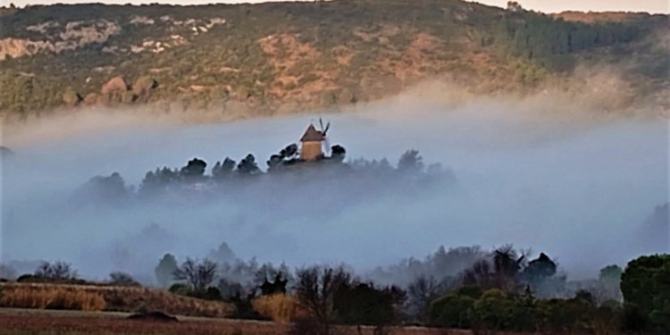 Éloge de l’enracinement : une vie entre Occitanie et Catalogne. - Domaine des Chênes