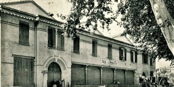 1974, ma première vinification. - Domaine des Chênes